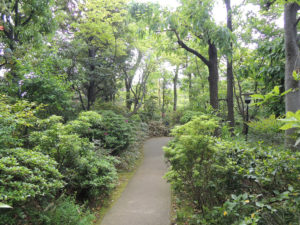 木々が鬱蒼としている庭：司馬遼太郎記念館へ行く